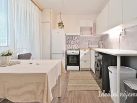 Pronájem bytu 1+1, Brno, Rerychova, 41 m2