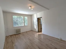 Pronájem bytu 1+1, Louny, Čs. armády, 40 m2
