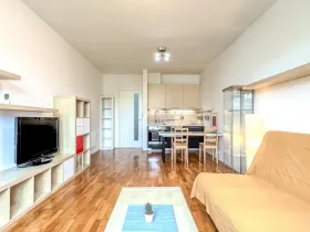 Pronájem bytu 1+kk, Praha - Žižkov, Havlíčkovo náměstí, 32 m2