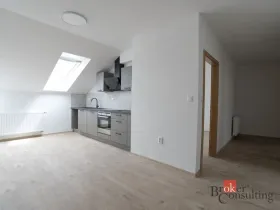 Pronájem bytu 2+1, Plzeň - Jižní Předměstí, Palackého, 65 m2