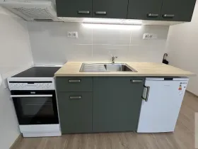 Pronájem bytu 1+kk, Ústí nad Labem - Severní Terasa, Pod Parkem, 21 m2
