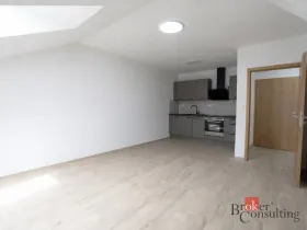 Pronájem bytu 3+kk, Plzeň - Jižní Předměstí, Palackého, 60 m2