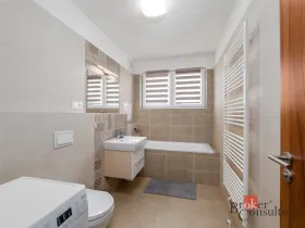 Pronájem bytu 1+kk, Heřmanova Huť - Vlkýš, U Pondu, 40 m2