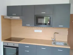 Pronájem bytu 1+1, Chodov, Čs. odbojářů, 36 m2
