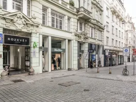 Pronájem bytu 1+kk, Brno - Brno-město, Panská, 39 m2