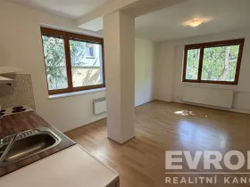 Pronájem bytu 1+kk, Vrchlabí, Českých bratří, 30 m2