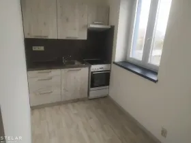 Pronájem bytu 1+1, Opava - Předměstí, Rybářská, 25 m2