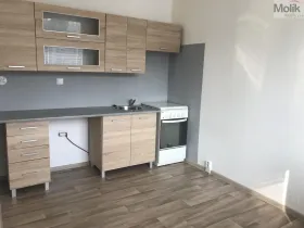 Pronájem bytu 3+1, Bílina - Pražské Předměstí, Alšova, 55 m2