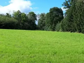 Prodej komerčního pozemku, Mohelnice, 4599 m2
