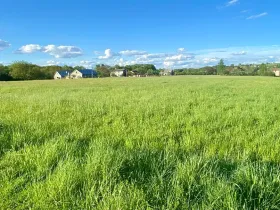 Prodej pozemku pro bydlení, Horní Bludovice, 1584 m2