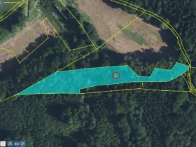 Prodej lesa, Bradlecká Lhota, 5202 m2
