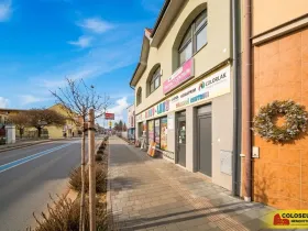 Prodej rodinného domu, Pohořelice, 350 m2