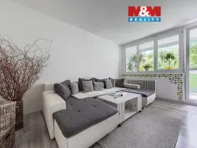 Prodej bytu 3+1, Kraslice, Družstevní, 62 m2