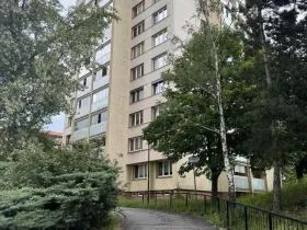Prodej bytu 1+kk, Ostrava - Moravská Ostrava, Lechowiczova, 27 m2