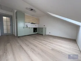 Pronájem bytu 2+kk, Praha, Kotlaska, 45 m2