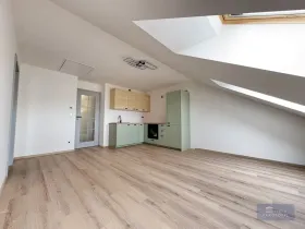 Pronájem bytu 2+kk, Praha, Kotlaska, 52 m2