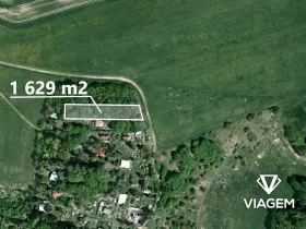 Prodej lesa, Prostějovičky, 1629 m2