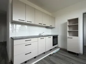 Prodej bytu 2+1, Roudnice nad Labem, Vrchlického, 56 m2