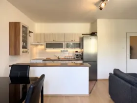 Pronájem bytu 2+kk, České Budějovice - České Budějovice 3, Riegrova, 41 m2