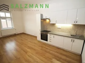 Pronájem bytu 2+1, Plzeň, Plachého, 71 m2