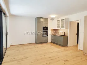 Pronájem bytu 1+kk, České Budějovice - České Budějovice 3, Fráni Šrámka, 41 m2