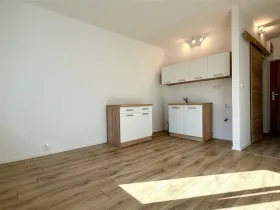 Pronájem bytu 1+kk, Cheb, Nová, 20 m2