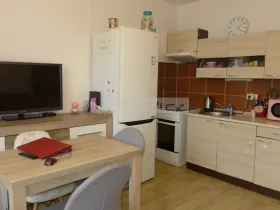 Prodej bytu 1+1, Plzeň - Severní Předměstí, Sokolovská, 40 m2