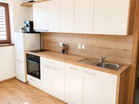 Pronájem bytu 2+kk, Plzeň - Skvrňany, Domažlická, 35 m2
