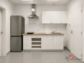 Pronájem bytu 2+1, Praha - Řepy, Drahoňovského, 55 m2