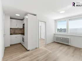 Prodej bytu 1+kk, Praha - Hloubětín, Šestajovická, 30 m2