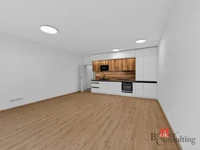 Pronájem bytu 2+kk, Plzeň - Jižní Předměstí, Železná, 63 m2
