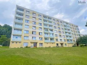 Prodej bytu 3+1, Litvínov - Horní Litvínov, Tylova, 64 m2