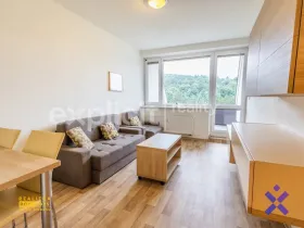 Prodej bytu 2+kk, Všemina, 45 m2