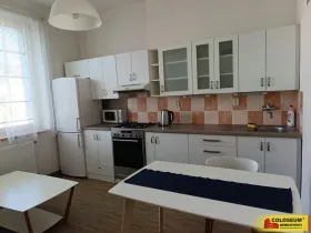 Pronájem bytu 1+1, Brno - Veveří, 57 m2