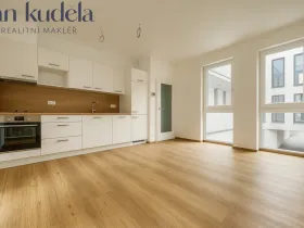 Pronájem bytu 1+kk, Brno, Minská, 30 m2