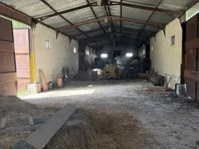 Prodej skladu, Litovany, 250 m2