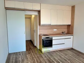 Pronájem bytu 1+kk, Olomouc, Wolkerova, 34 m2