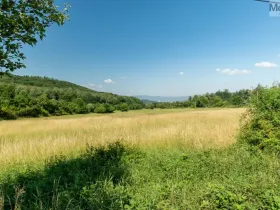 Prodej komerčního pozemku, Braňany - Kaňkov, 23391 m2