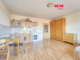 Pronájem bytu 1+kk, Plzeň - Východní Předměstí, Plzenecká, 33 m2