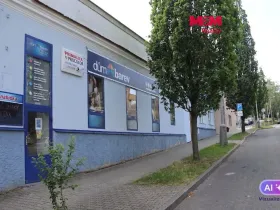 Prodej obchodního prostoru, Mělník, Krombholcova, 300 m2