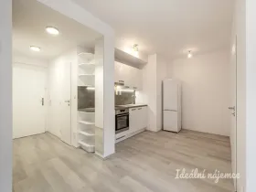 Pronájem bytu 2+kk, Praha - Žižkov, Chelčického, 45 m2