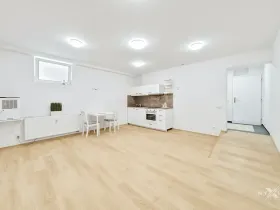 Prodej bytu 1+kk, Praha - Liboc, Za vokovickou vozovnou, 39 m2