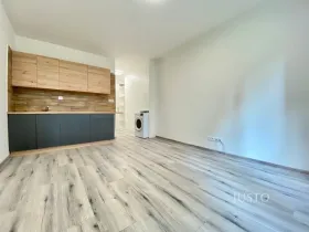Pronájem bytu 1+kk, Frýdek-Místek - Místek, Vítězslava Nezvala, 21 m2