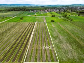 Prodej pozemku, Březí, 3474 m2