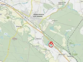 Prodej podílu lesa, Týniště nad Orlicí, 2912 m2