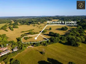 Prodej pozemku pro bydlení, Mirotice - Bořice, 10784 m2