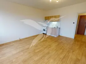 Pronájem bytu 1+kk, Plzeň, Hodonínská, 31 m2