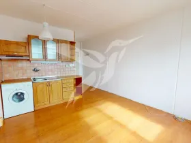 Pronájem bytu 1+kk, Plzeň, Mandlova, 20 m2