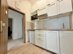 Pronájem bytu 1+kk, Praha - Nové Město, Kateřinská, 30 m2