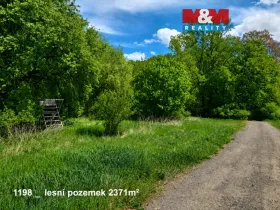 Prodej pole, Pňov-Předhradí - Pňov, 142115 m2
